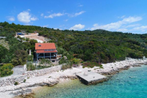 House Sea Star